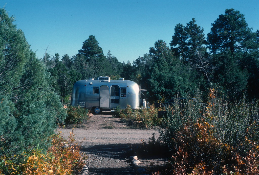 Campground, Heron Lake State Park, NM (1980) The Douglas Campbell