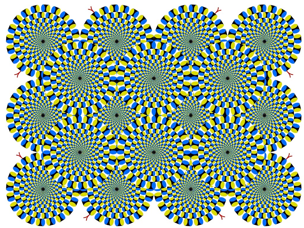 Optical Illusion Spinning Wheels. Great optical illusion… Flickr
