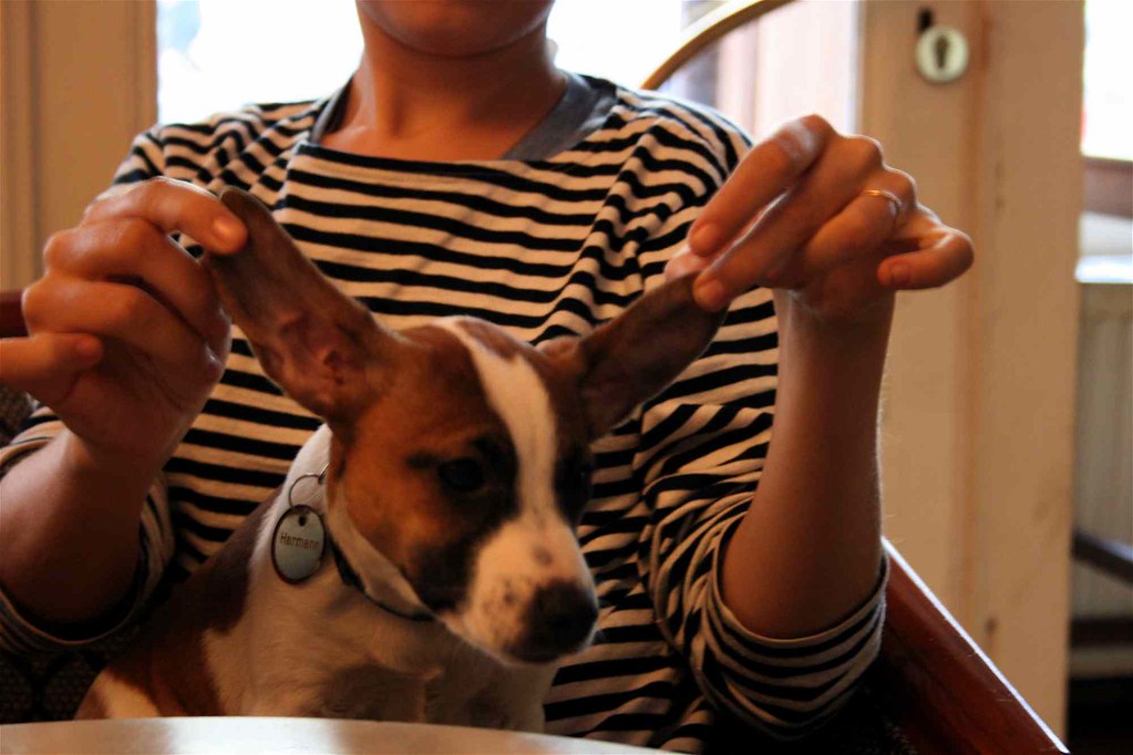 dumbo sunday brunch allerleirau Flickr