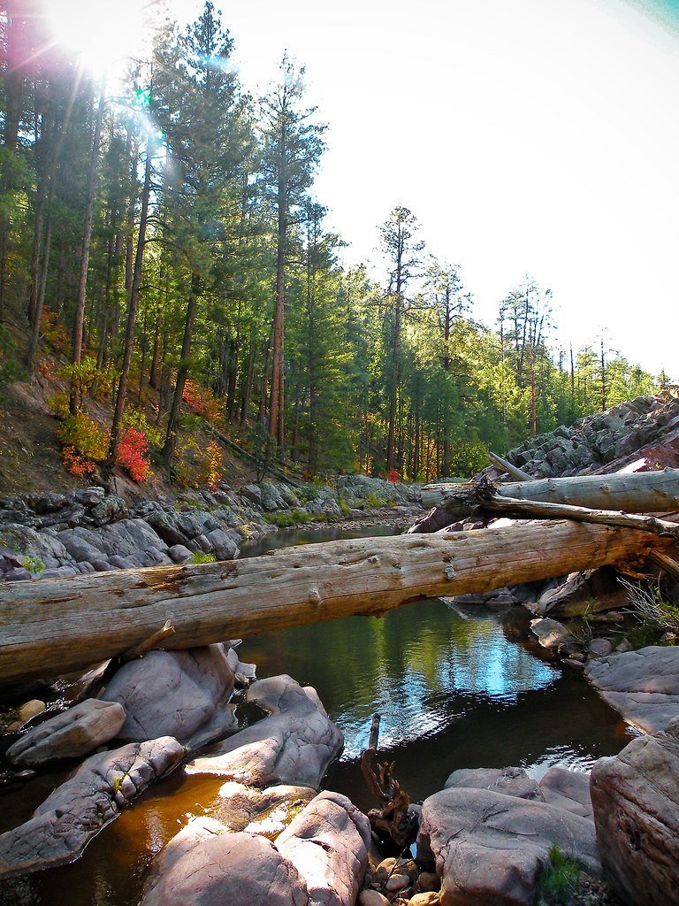 christopher creek camping in christopher creek early octob… Cassie