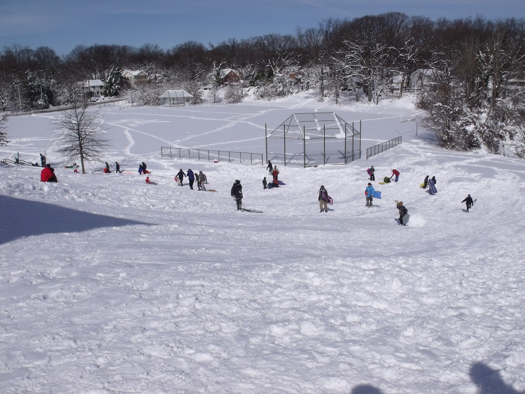 Takoma Park Middle School sledding hill The Natural Capital Flickr