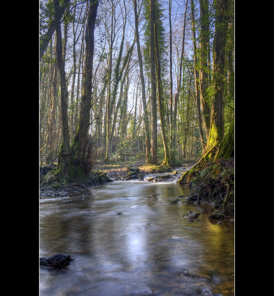 Further Upstream Taken on Crowborough Warren at the stream… Flickr