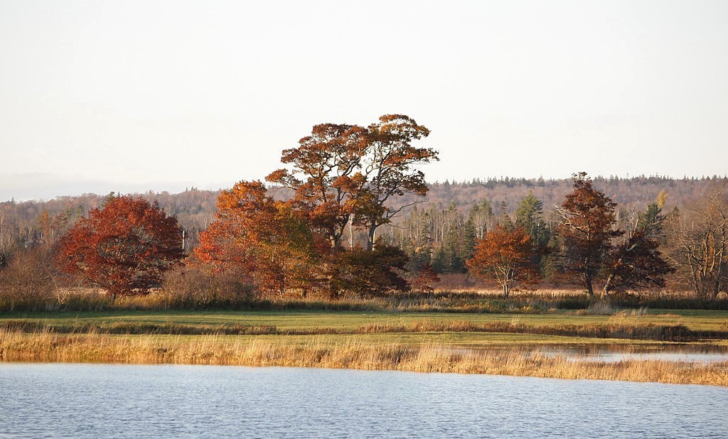 Middle Musquodoboit, Nova Scotia A little drive today gave… Flickr
