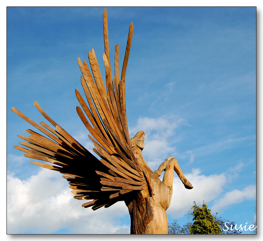 Pegasus Discovered in Woking, Surrey. Carved out of a tree… Flickr