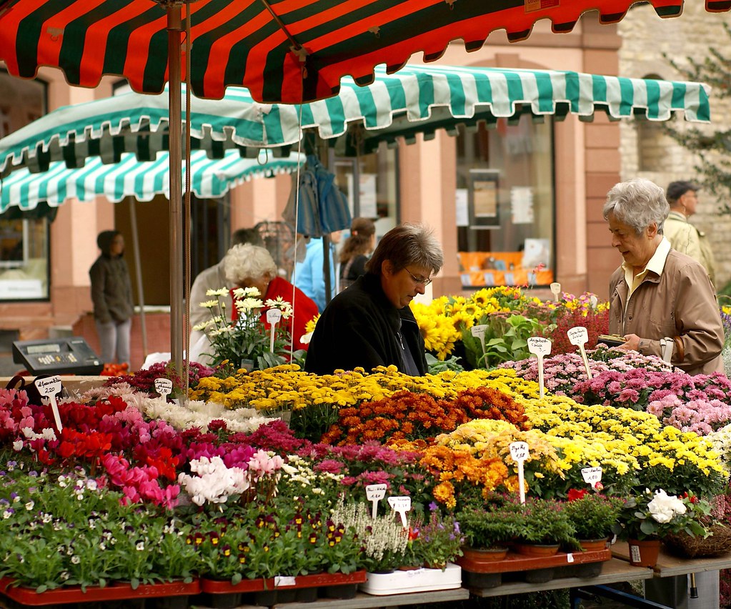 Mainz, Markt, Blumenstand (market, flower stall) a photo on Flickriver