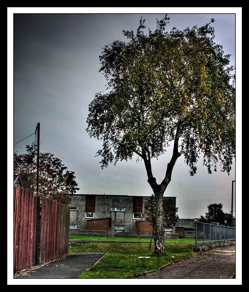 Barry Gibbonsdown Peter Leech Flickr