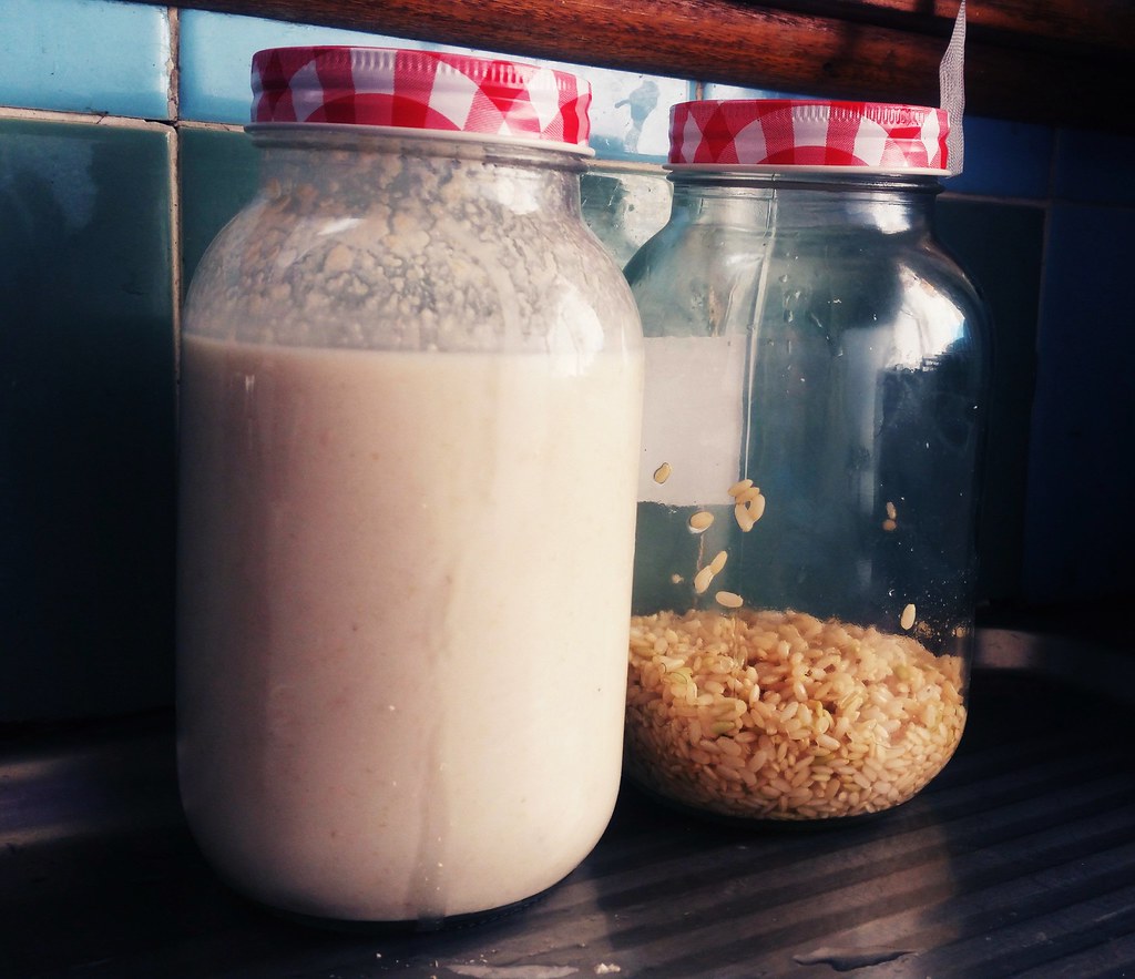 Making oat milk yoghurt, and sprouting brown rice to make … Flickr