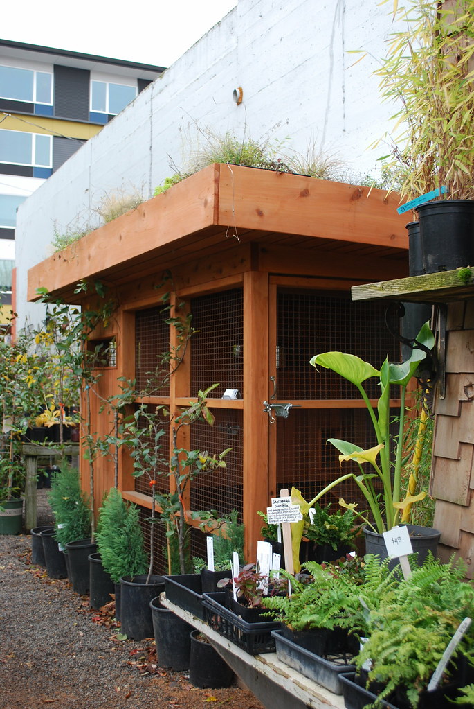 Chicken Coop with Green Roof Laura Duris Flickr