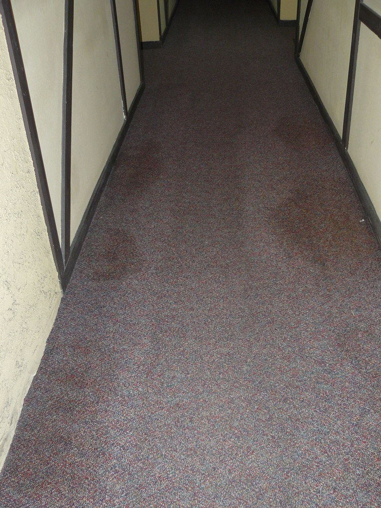 hall2 Stained carpets in every common area piedmontparkvilla Flickr
