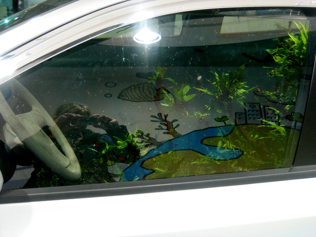 Fish Tank Car There were real fish in this car, they were … Flickr