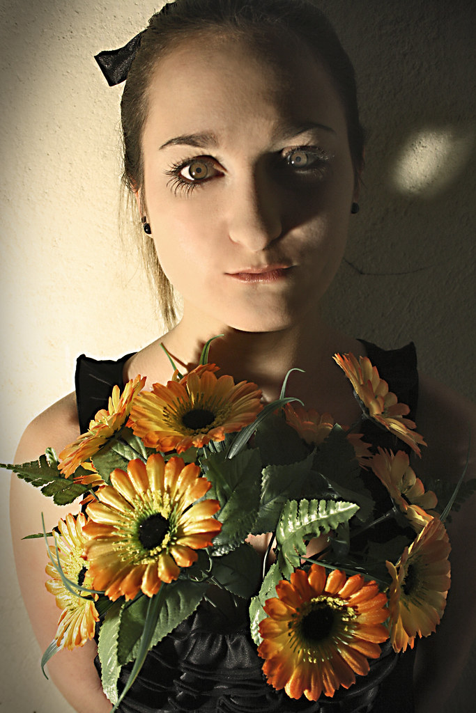 Plastic flowers Alicia González JCarlos Flickr