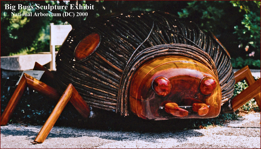 Big Bugs Sculpture Exhibit National Arboretum (DC) 2000… Flickr