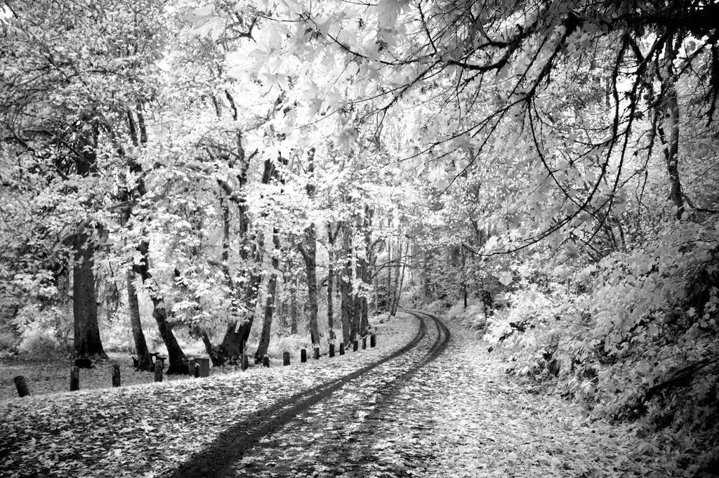 102609 204 Scaponia Park, ScappooseVernonia Highway Co… Flickr