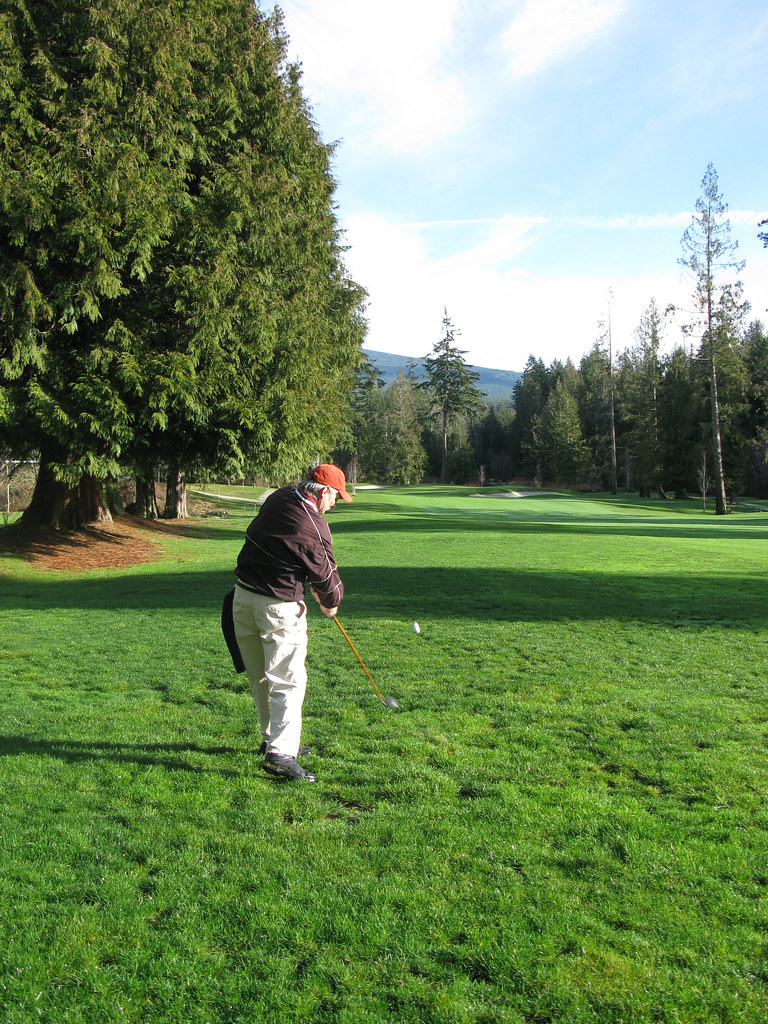 Hitting from the rough What a fabulous day for golf. Weath… Flickr