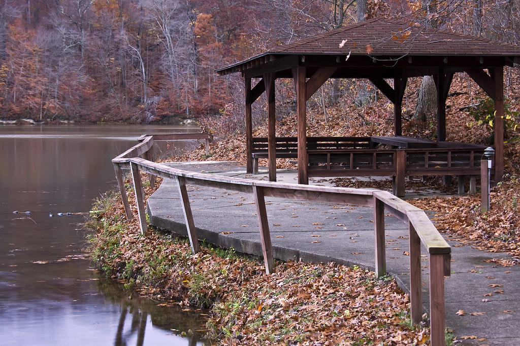 Bradford Woods_09 10 31_0009 Dave Wensits Flickr