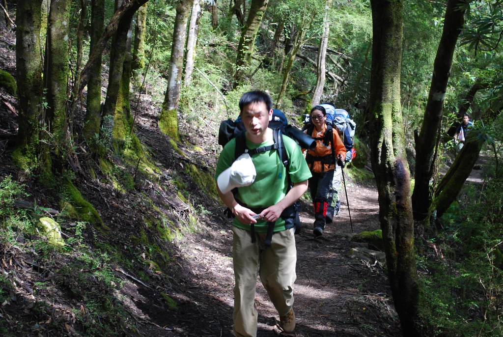Raymond, Michelle Lush mossy area, Sealers Cove Track a photo on