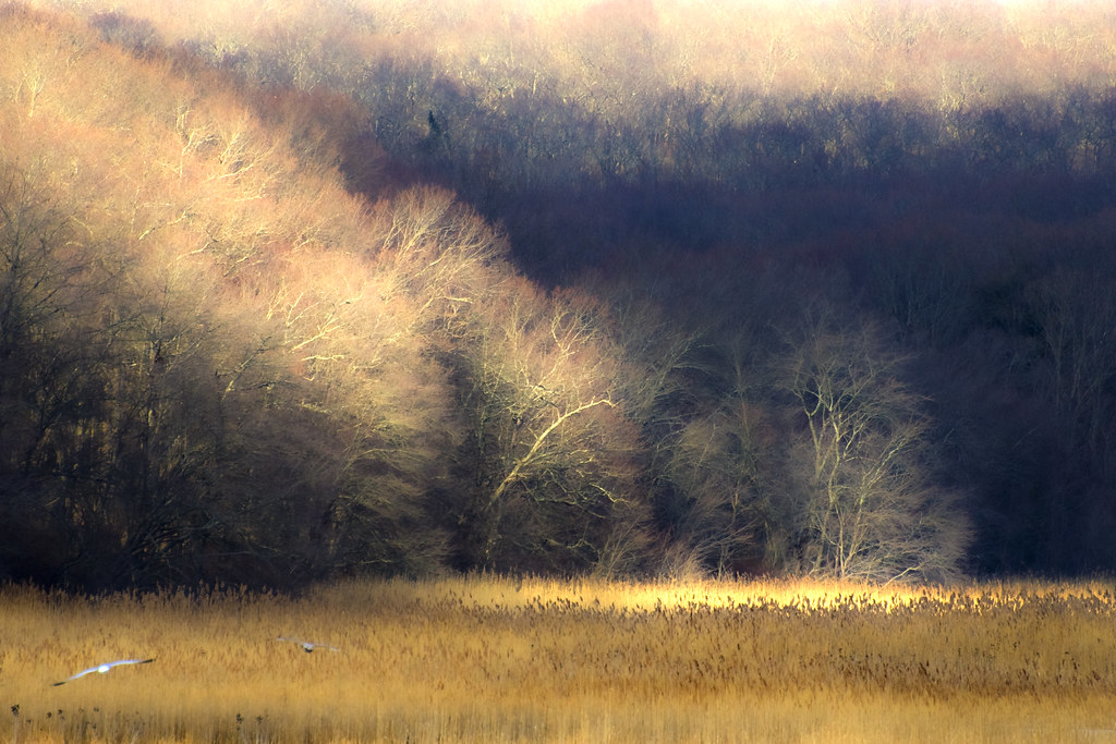 Elevation of Admiral Drive, Admiral Dr, New London, CT, USA