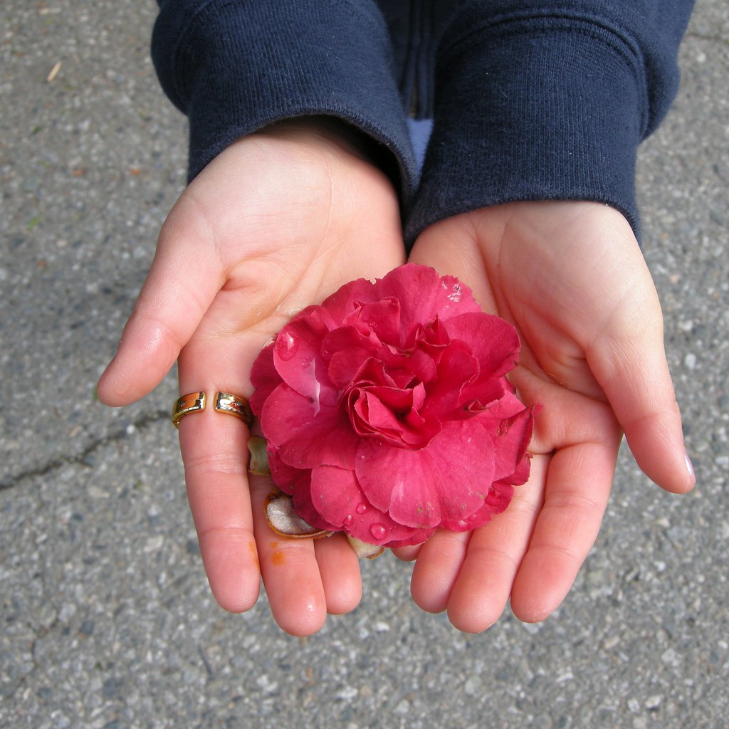 Flower and open hands einstraus Flickr