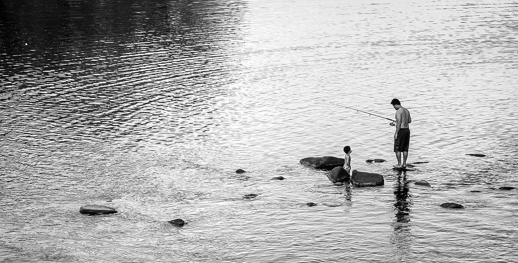 Activities Friends Of Lower Haw River State Natural Area