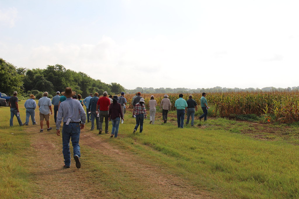 IMG_7790 Soil & Crop Sciences Department College of Agriculture / Texas A&M University Flickr