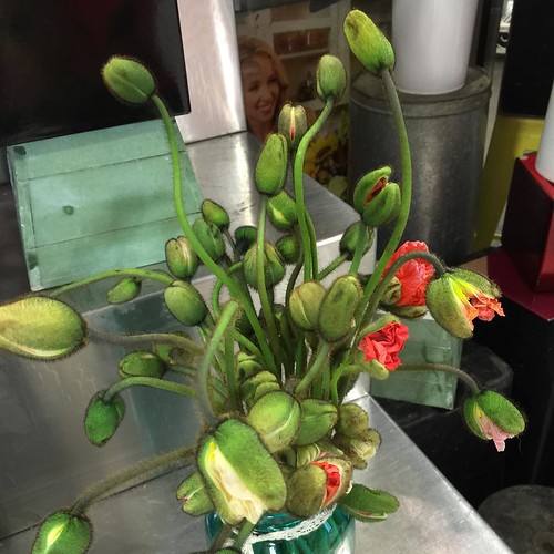 Amazing ⬅️order now S… Flickr