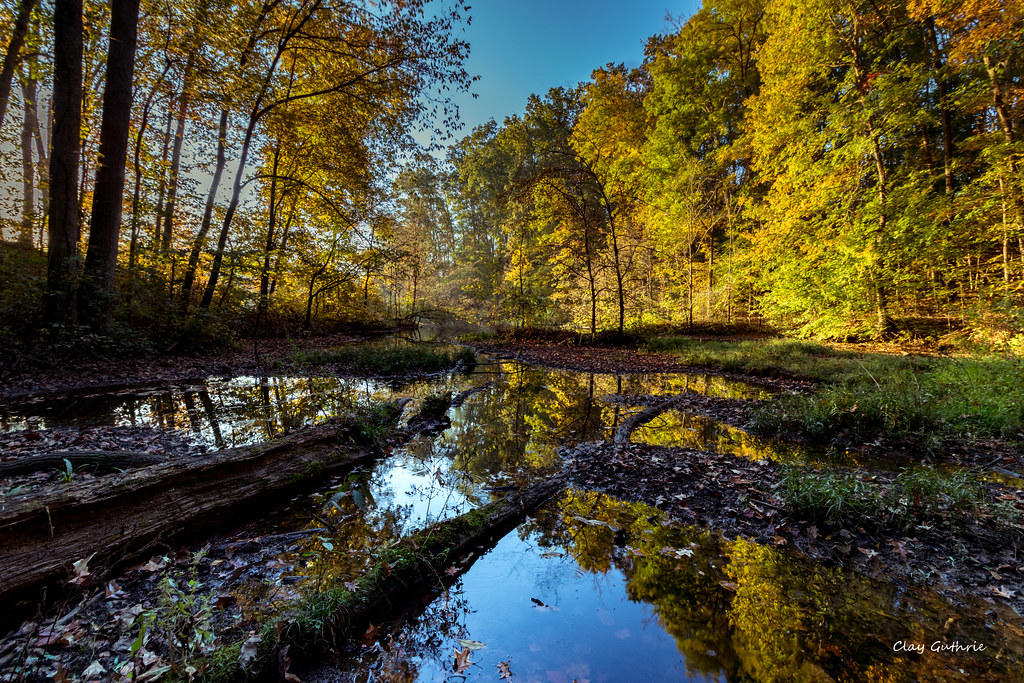 Fall Reflected Taken at Tywappity Lake in Chaffee Missouri… Clay