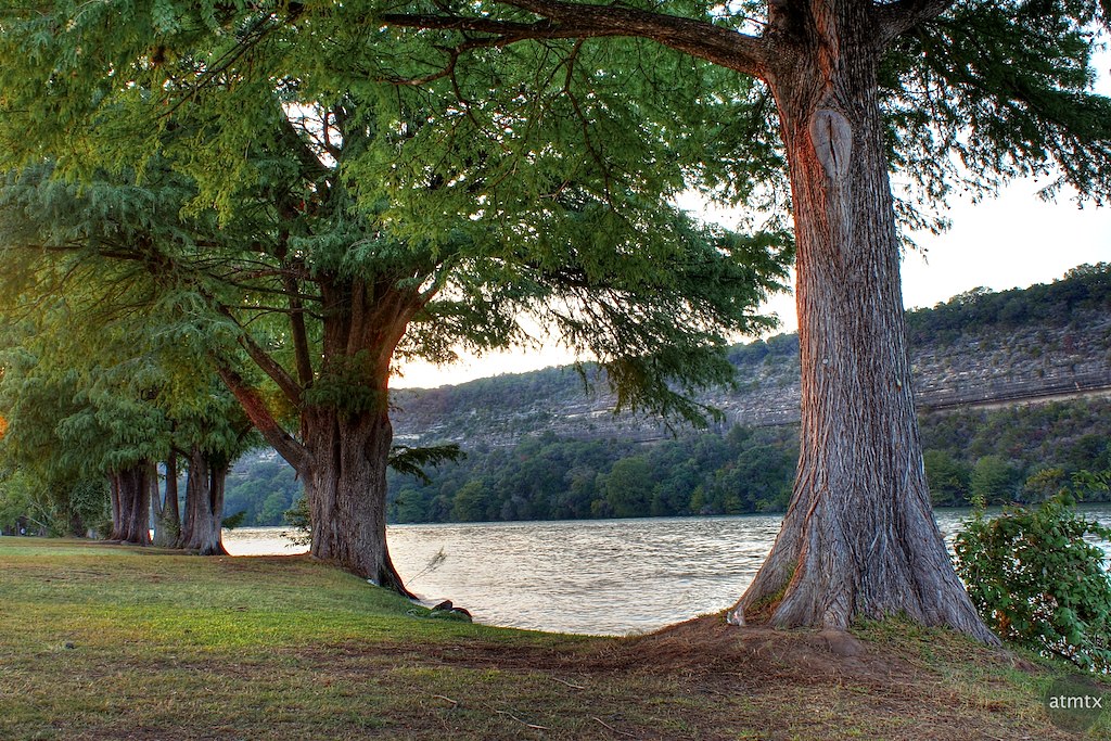 Austin Bank Bullard Tx educationgraphicdesign