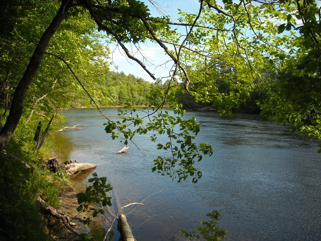 Saco River, Buxton Maine tracy nelson Flickr