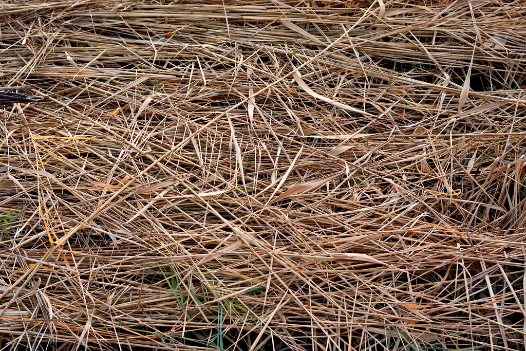 Bale of dried hay in a park from up close Lots of dried gr… Flickr