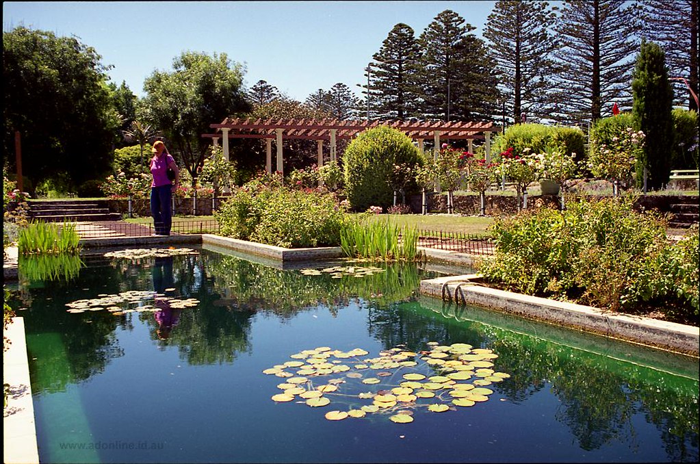 Fletcher Jones Gardens The pond at the Fletcher Jones Gard… Flickr