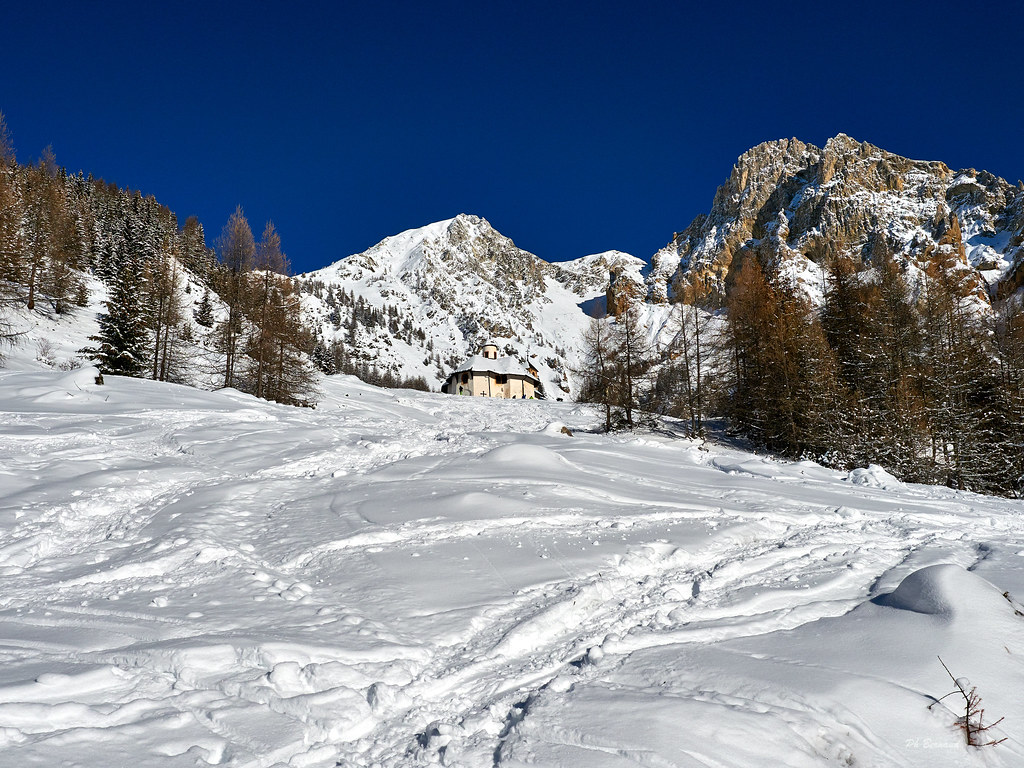 Notre dame des OLYMPUS DIGITAL CAMERA Flickr