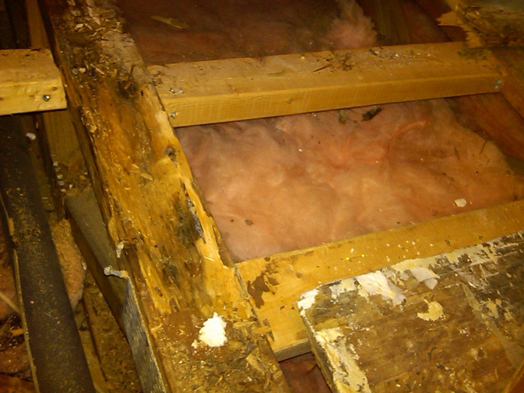 Detail, botched repair job on dry rotted floor joist. Flickr