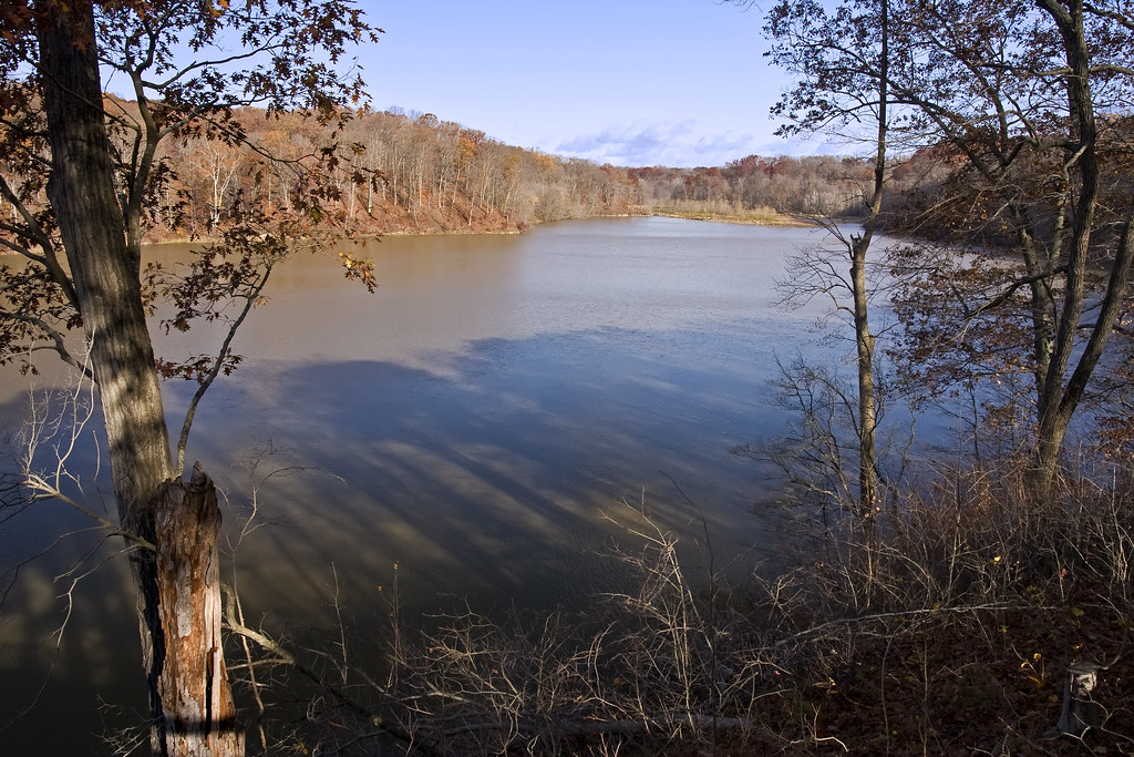 Bradford Woods_09 10 31_0073 Dave Wensits Flickr