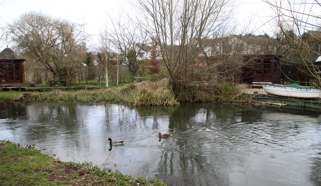 Springtime in Wimborne The River Allen below Allenbourne R… Flickr