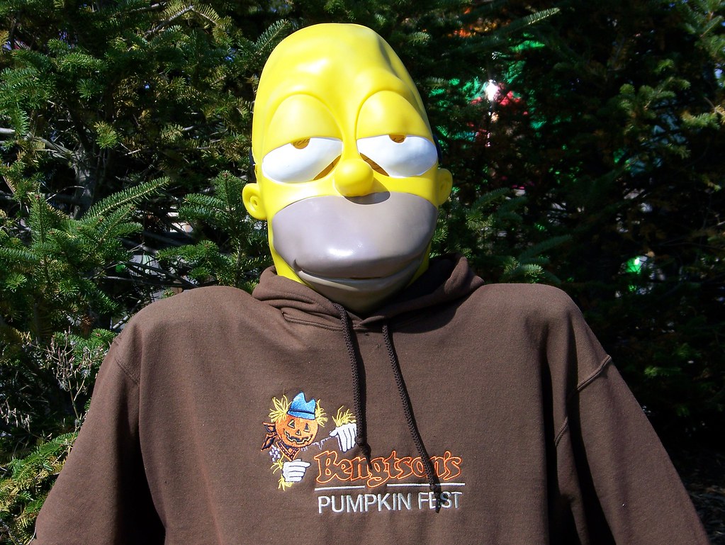 The Homer of Homer Glen Drunk spablab Flickr