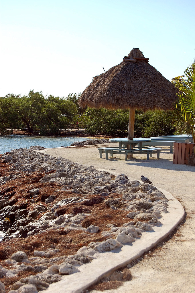 Big Pine Key 2009 Flickr