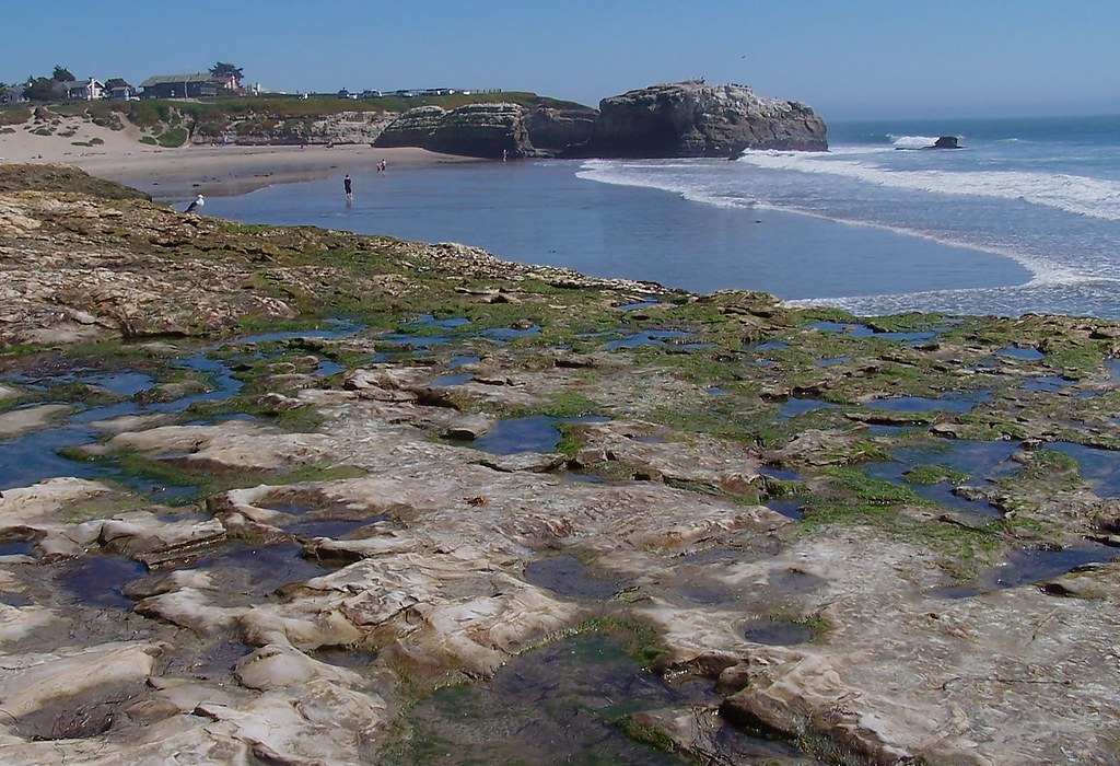 Tidepools Natural Bridges State Park in Santa Cruz, Califo… Flickr