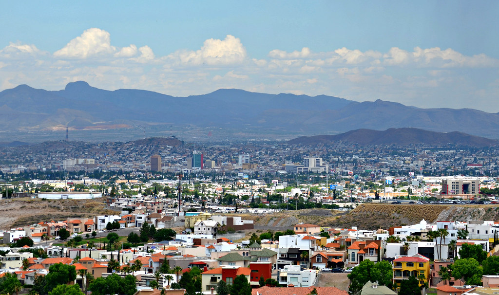 Chihuahua City Mexico Safety Pets Lovers