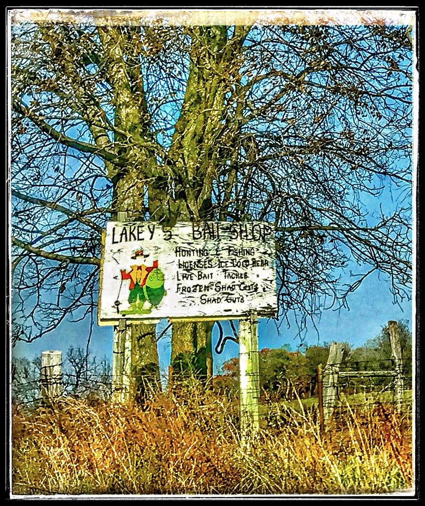 Shad guts! Mmmmmmmm....Ozarks sushi Only in the Ozarks wou… Flickr