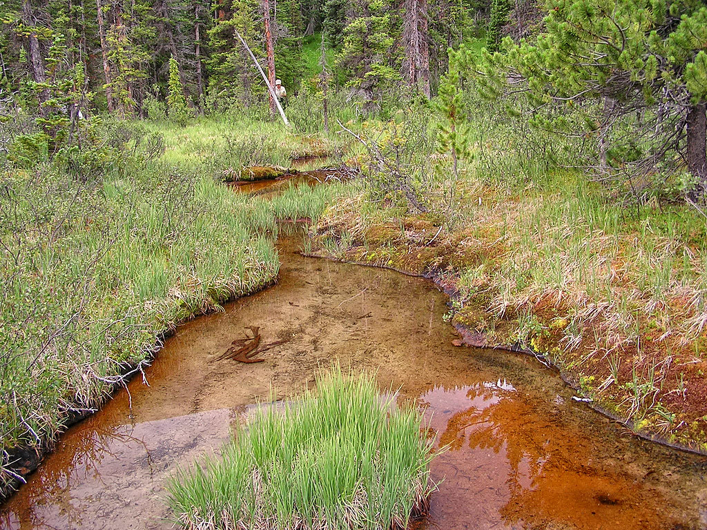 Iron Fen Geneva Creek Iron Fen, Southern Rocky Mountains, … Flickr