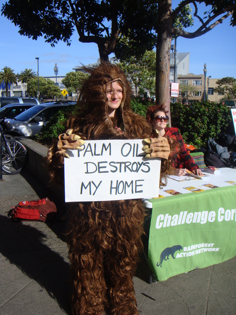 Cheerios Palm Oil Week of Action Homeless orangutan joins … Flickr