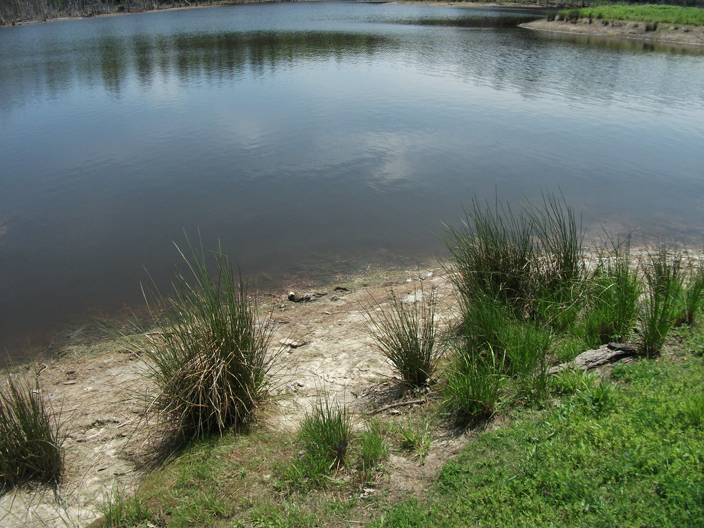 Looking Glass Pond West Fulton, New York Looking Glass P… Flickr