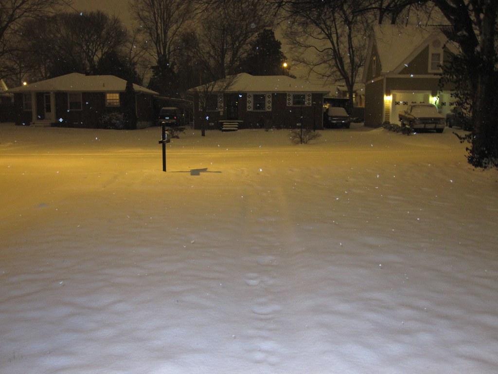 Nashville Snow Storm of 2010. Hate it that Lori's Bday Par… Flickr