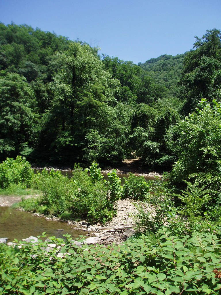 Near Whitesville WV Near the headwaters of the Coal River… Flickr