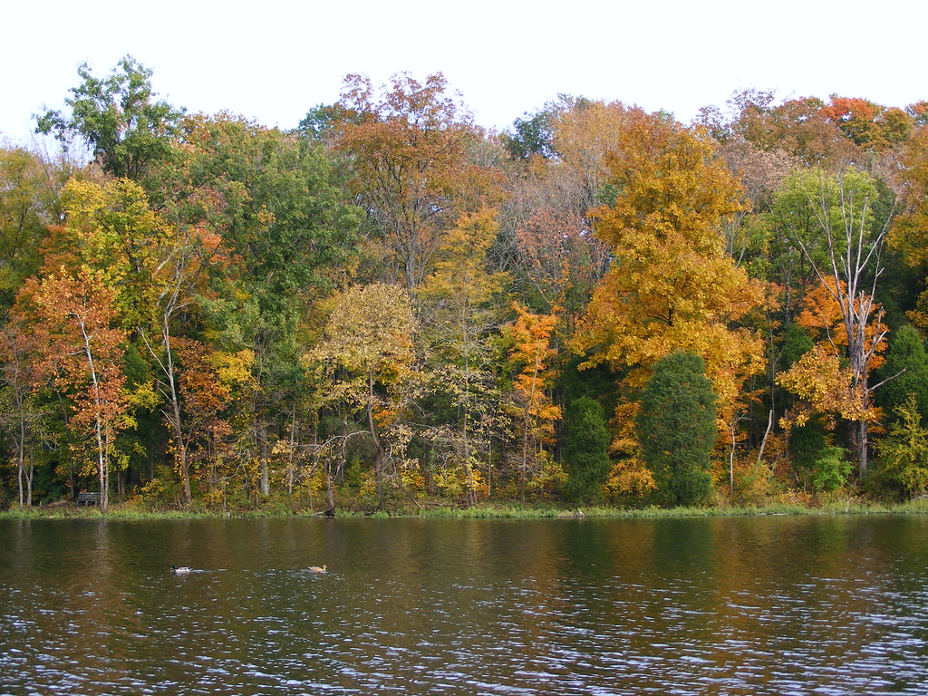 McNeely Lake v3 McNeely Park in Highview Louisville, Ken… Flickr