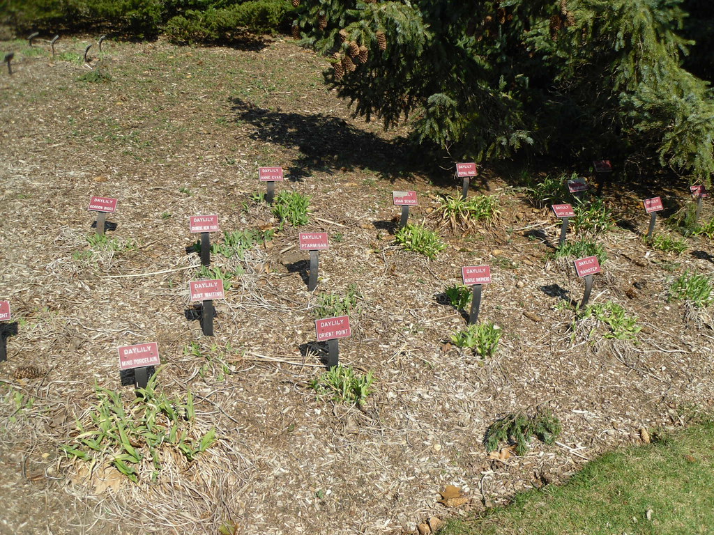 Bayard Cutting Arboretum Great River, New York Bayard Cu… Flickr