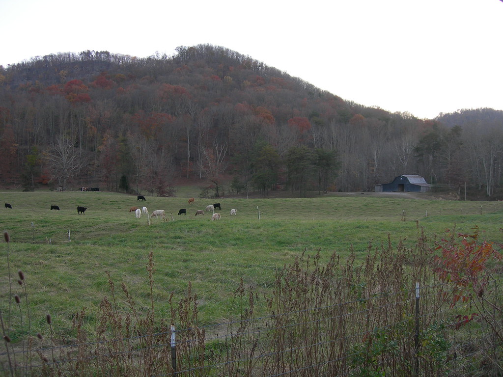Rural Estill County Farmland KY Hwy 499 west of Irvine. Flickr