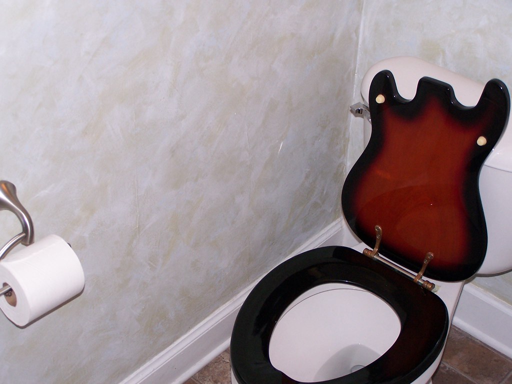guitarshaped toilet seat It wouldn't be Nashville if we d… Flickr