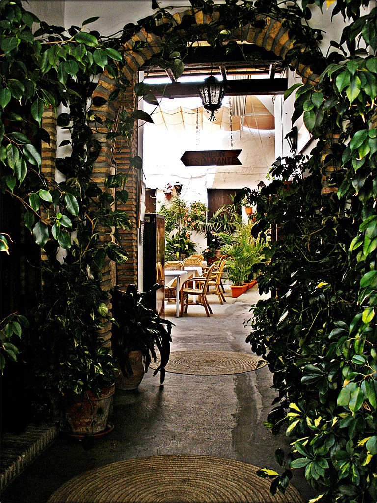 El patio de mi casa, en Conil.. El patio de mi casa es par… Flickr