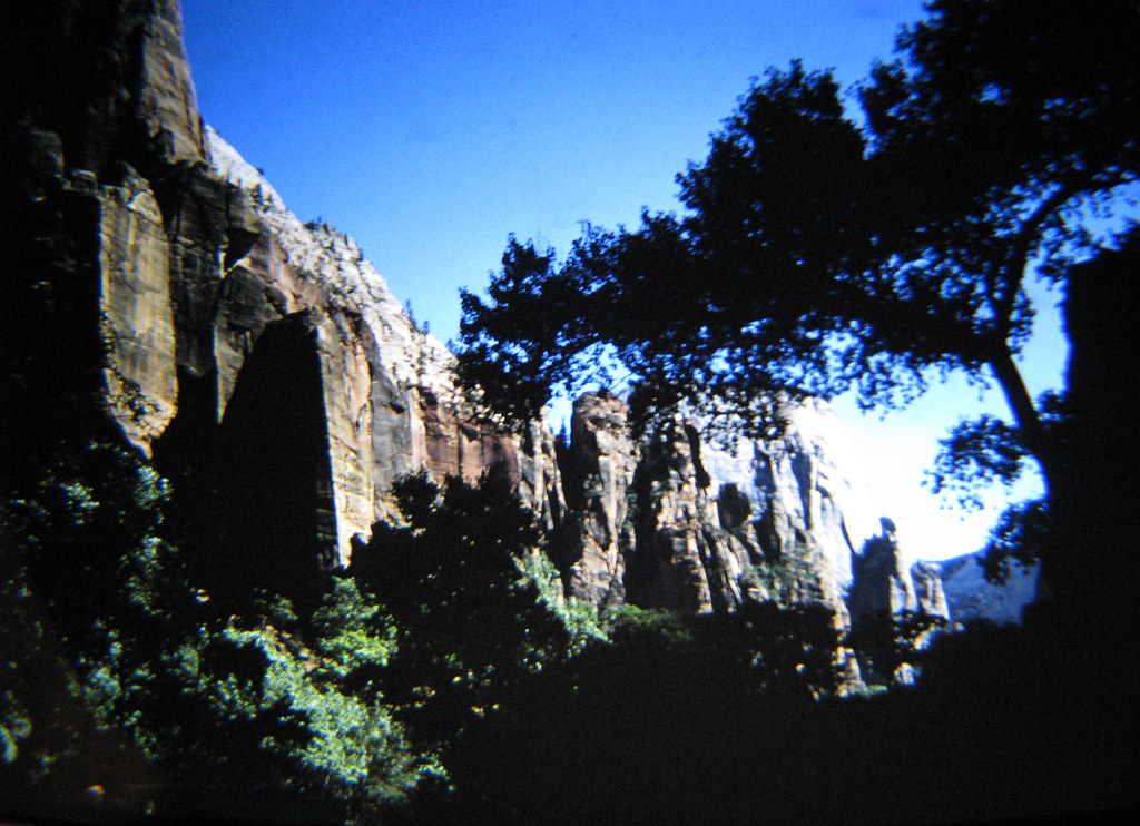 Zion National Park Zion National Park, Springdale, Utah. T… Flickr
